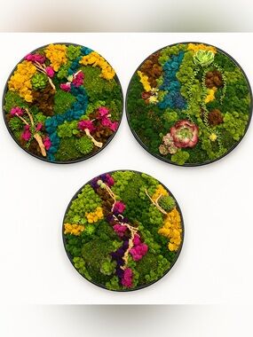 Luxury Handmade Preserved Moss Wall Art | One-of-a-Kind | Modern Botanical Decor